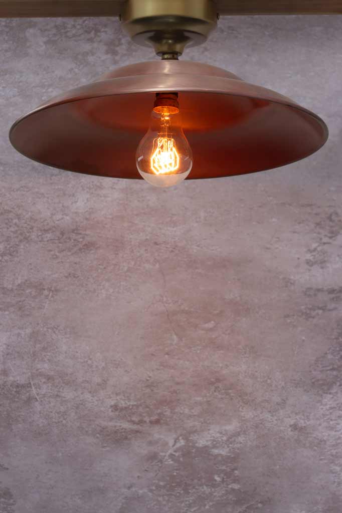 Barn Close To Ceiling Light - Image 12