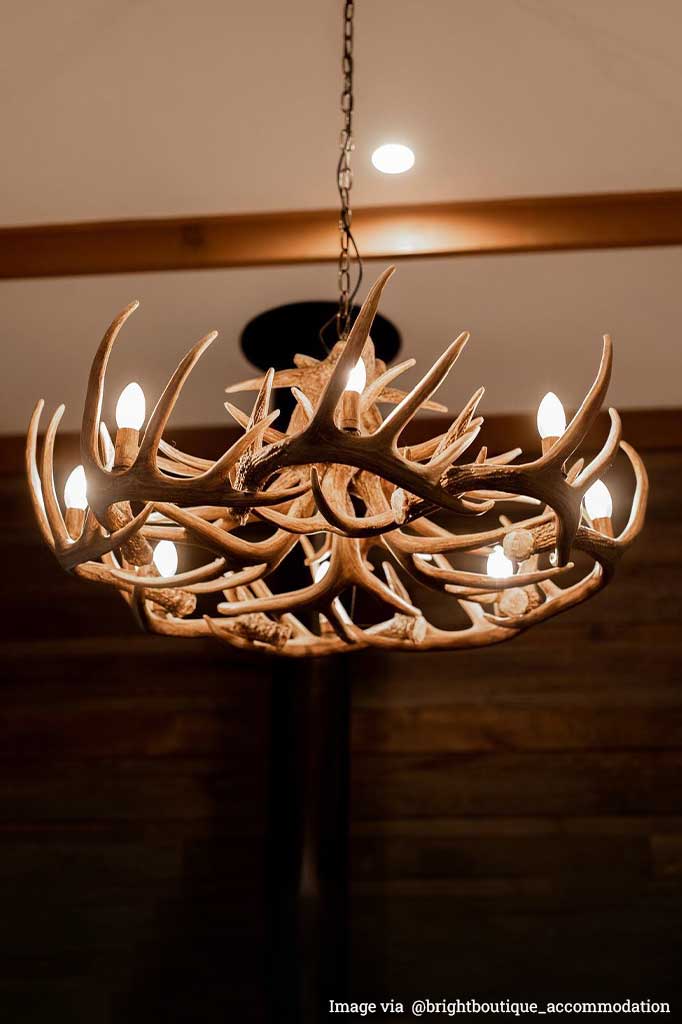 Roebuck Chandelier - Image 6